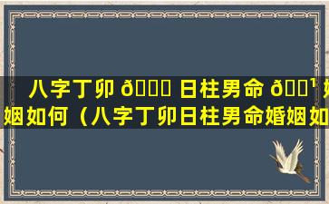 八字丁卯 🕊 日柱男命 🌹 婚姻如何（八字丁卯日柱男命婚姻如何看）